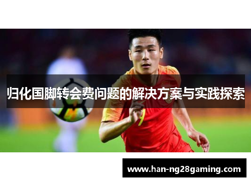 归化国脚转会费问题的解决方案与实践探索