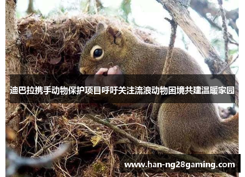 迪巴拉携手动物保护项目呼吁关注流浪动物困境共建温暖家园